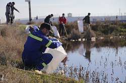 Атырауский нефтеперерабатывающий завод поддержал экологическую акцию «Мөлдір бұлақ»