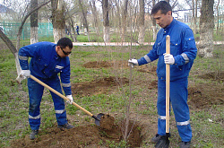 Зауыттықтар жалпықалалық сенбілікке қатысты      