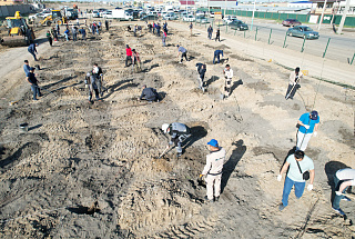 Over 700 trees were planted by employees of Atyrau Refinery 