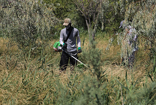 На санитарно-защитной зоне АНПЗ продолжаются агротехнические мероприятия